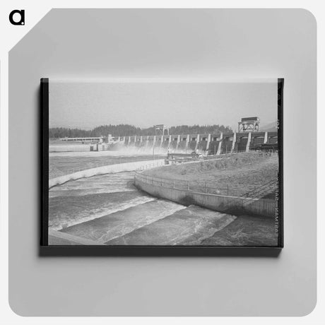 アートパネル-Fish Ladders and Bonneville Dam
 - ラッセル リー Canvas.