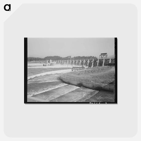 アートポストカード-Fish Ladders and Bonneville Dam
 - ラッセル リー Postcard.