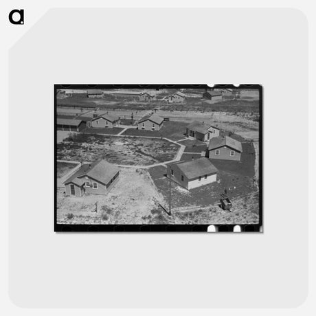 アートポストカード-FSA Labor Camp
 - ラッセル リー Postcard.