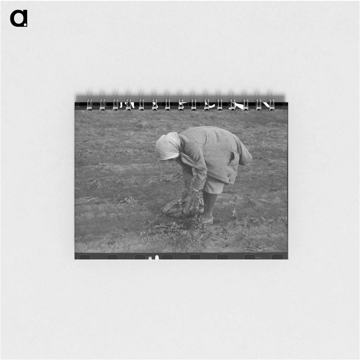 アートメモ帳-Turnip Harvest, Creek County
 - ラッセル リー Memo.