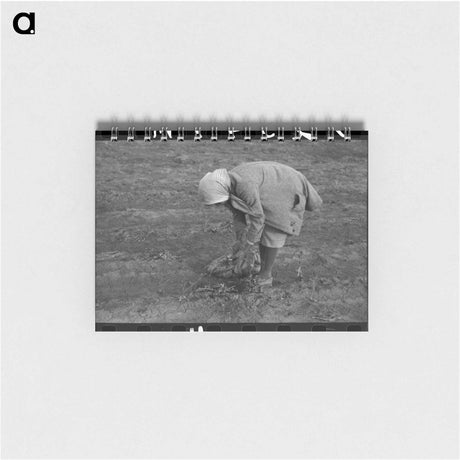 アートメモ帳-Turnip Harvest, Creek County
 - ラッセル リー Memo.