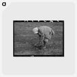 アートポストカード-Turnip Harvest, Creek County
 - ラッセル リー Postcard.