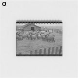 アートメモ帳-Flock of Sheep, Iowa
 - ラッセル リー Memo.
