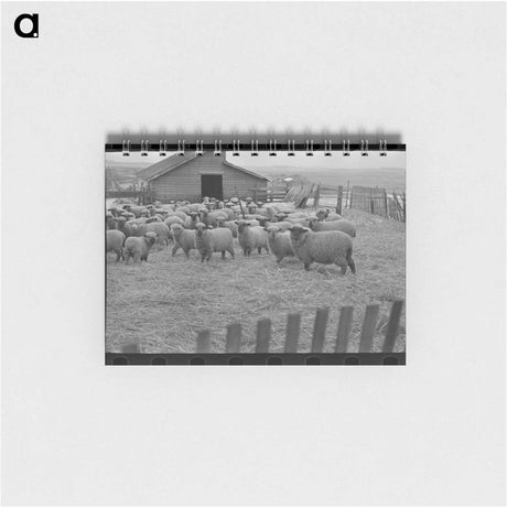 アートメモ帳-Flock of Sheep, Iowa
 - ラッセル リー Memo.