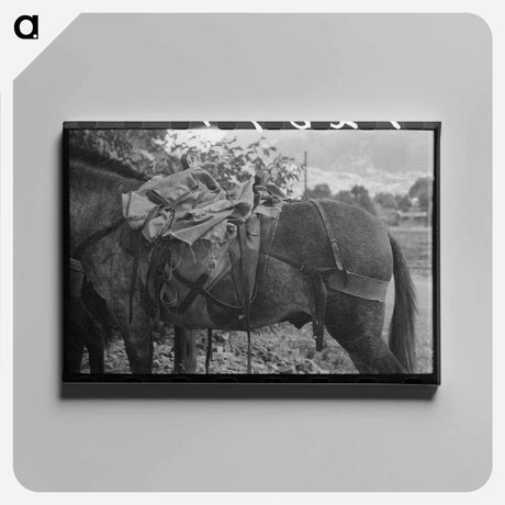 アートパネル-Sheepherder's Mule, Ouray
 - ラッセル リー Canvas.