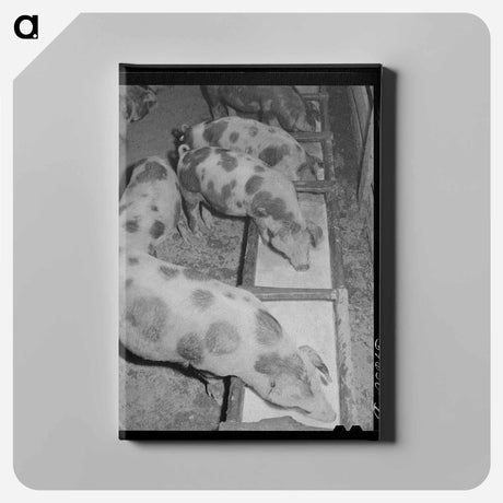アートパネル-Hogs Eating Skim Milk
 - ラッセル リー Canvas.