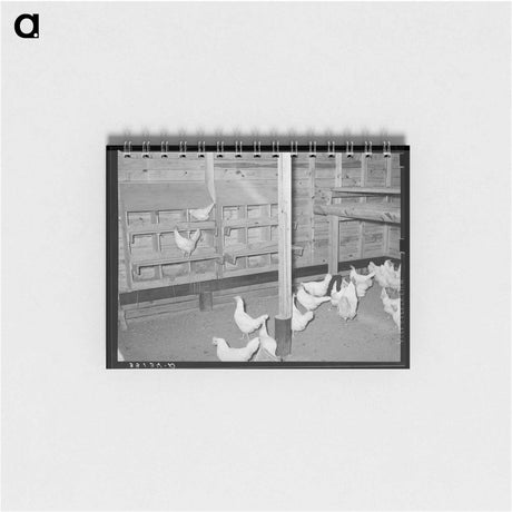 アートメモ帳-Chicken House on Sabine Farms
 - ラッセル リー Memo.