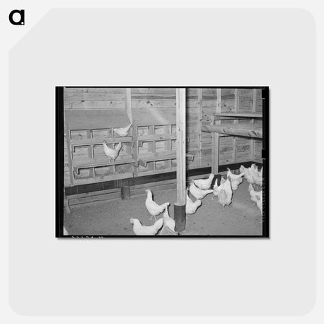 アートポストカード-Chicken House on Sabine Farms
 - ラッセル リー Postcard.