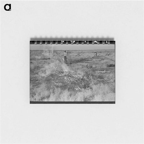 アートメモ帳-Burning Mesquite, El Indio
 - ラッセル リー Memo.