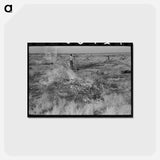 アートポストカード-Burning Mesquite, El Indio
 - ラッセル リー Postcard.
