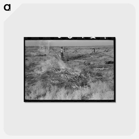 アートポストカード-Burning Mesquite, El Indio
 - ラッセル リー Postcard.