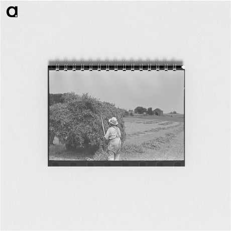 アートメモ帳-Farmer Pitching Pea Vines
 - ラッセル リー Memo.