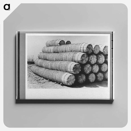 アートパネル-Spinach Baskets
 - ラッセル リー Canvas.