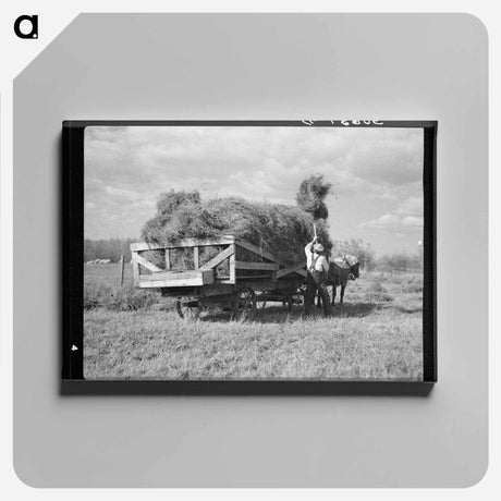 アートパネル-Pitching Alfalfa Hay
 - ラッセル リー Canvas.