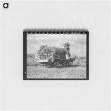 アートメモ帳-Pitching Alfalfa Hay
 - ラッセル リー Memo.