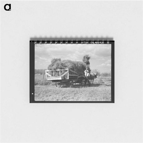 アートメモ帳-Pitching Alfalfa Hay
 - ラッセル リー Memo.