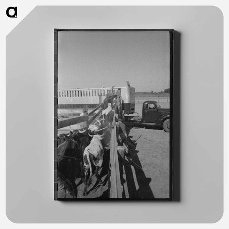 アートパネル-Cattle Corral, Brawley
 - ラッセル リー Canvas.