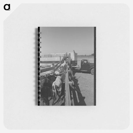 アートメモ帳-Cattle Corral, Brawley
 - ラッセル リー Memo.