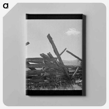 アートパネル-Moss-Covered Rail Fence
 - ラッセル リー Canvas.