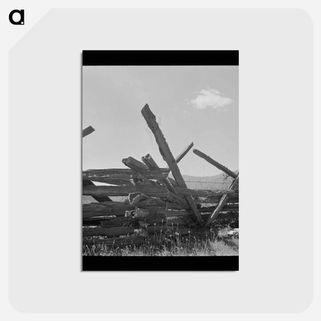 アートポストカード-Moss-Covered Rail Fence
 - ラッセル リー Postcard.