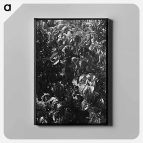 アートパネル-Fruit Pickers
 - ラッセル リー Canvas.