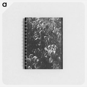 アートメモ帳-Fruit Pickers
 - ラッセル リー Memo.