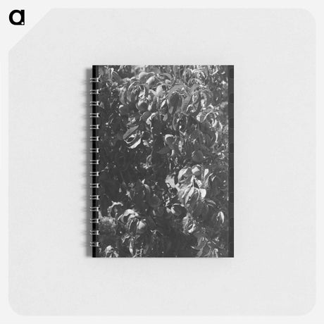 アートメモ帳-Fruit Pickers
 - ラッセル リー Memo.