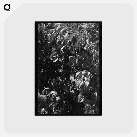 アートポストカード-Fruit Pickers
 - ラッセル リー Postcard.