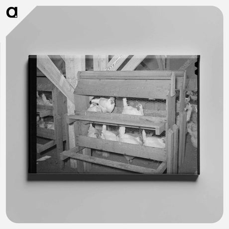 アートパネル-Hens on the Nest
 - ラッセル リー Canvas.