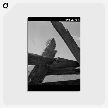 アートポストカード-Moss-Covered Rail Fence
 - ラッセル リー Postcard.