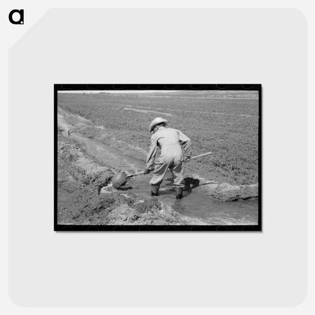 アートポストカード-Makeshift Dam
 - ラッセル リー Postcard.