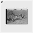 アートポストカード-Tenant Farmer's Son
 - ラッセル リー Postcard.