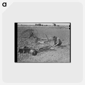 アートポストカード-Tenant Farmer's Son
 - ラッセル リー Postcard.