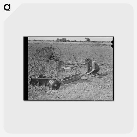 アートポストカード-Tenant Farmer's Son
 - ラッセル リー Postcard.