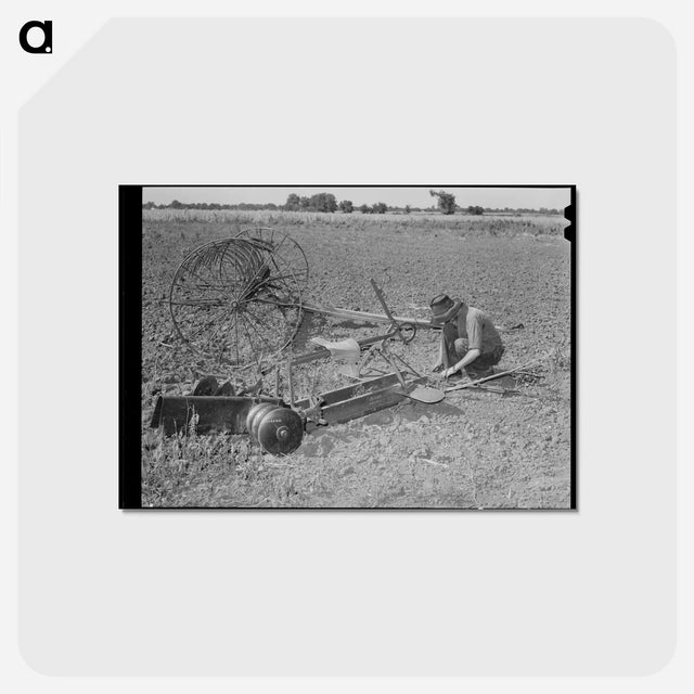 アートポストカード-Tenant Farmer's Son
 - ラッセル リー Postcard.