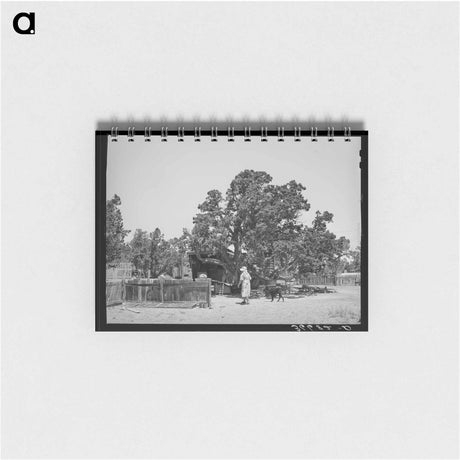アートメモ帳-Huttons' Farm
 - ラッセル リー Memo.