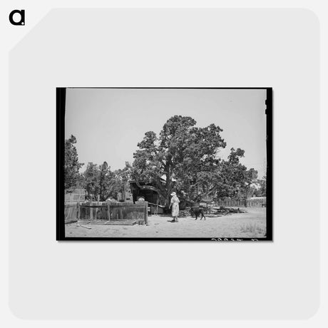 アートポストカード-Huttons' Farm
 - ラッセル リー Postcard.