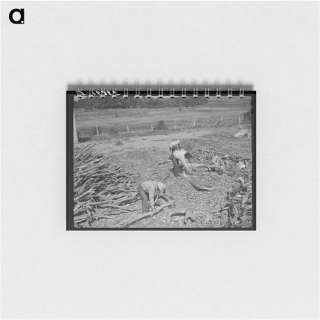 アートメモ帳-Chopping Wood, Concho
 - ラッセル リー Memo.