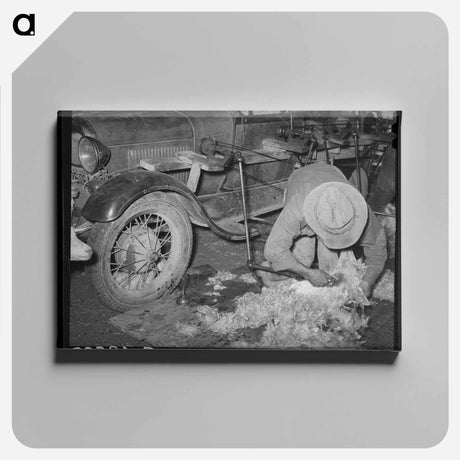 アートパネル-Texas Goat Shearing
 - ラッセル リー Canvas.