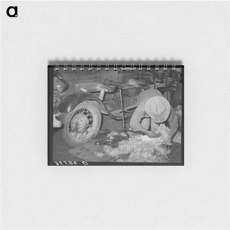 アートメモ帳-Texas Goat Shearing
 - ラッセル リー Memo.