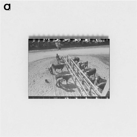 アートメモ帳-Hereford Cattle Wash
 - ラッセル リー Memo.