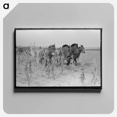 アートパネル-Cutting Corn in Kansas
 - ラッセル リー Canvas.