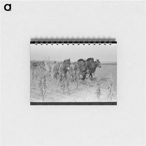 アートメモ帳-Cutting Corn in Kansas
 - ラッセル リー Memo.
