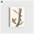アートメモ帳-Brown Creeper and Californian Nuthatch from Birds of America
 - アメリカの鳥たち Memo.