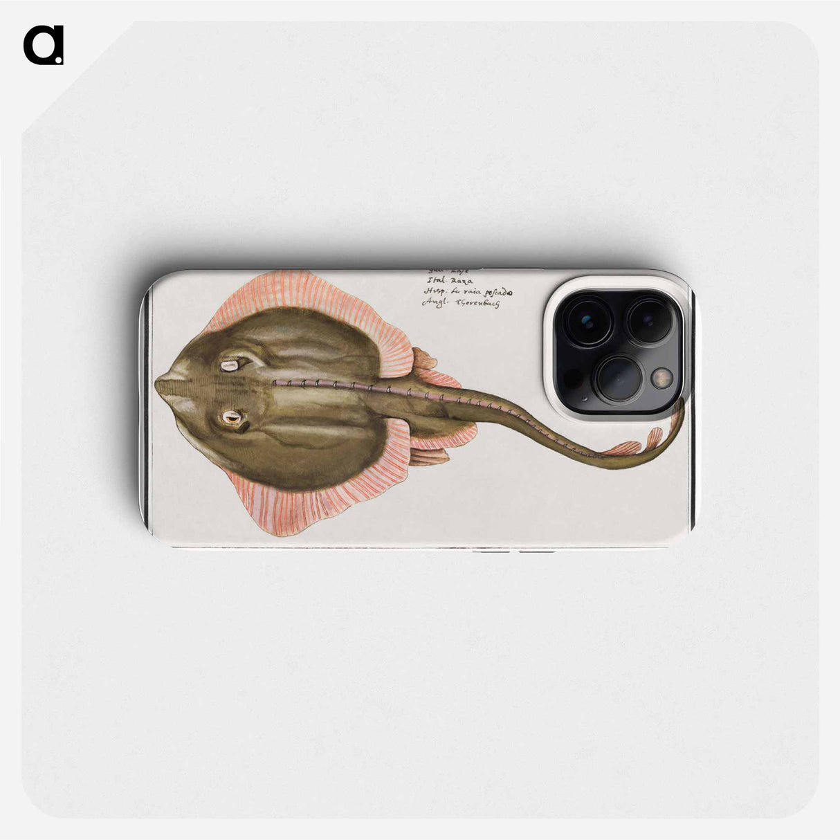 Rog, Batoidea of Rajomorphii - アンセルムス ボエティウス デ ブート Phone Case.