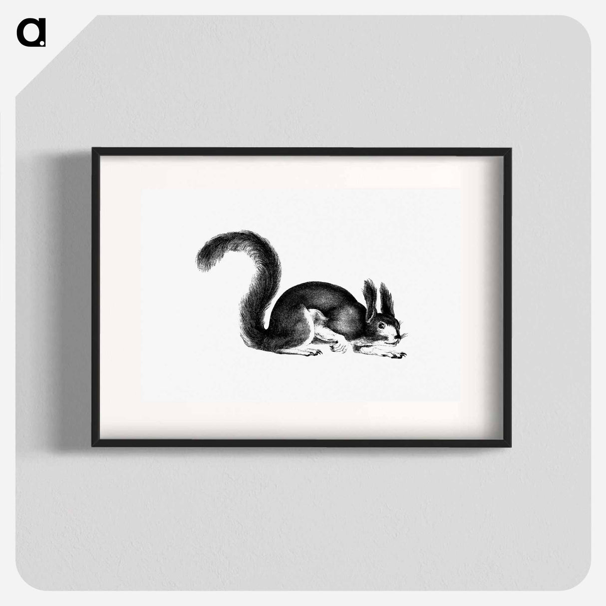 アートポスター-Abert's Squirrel
 - 大英図書館 Poster.