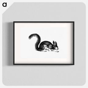 アートポスター-Abert's Squirrel
 - 大英図書館 Poster.