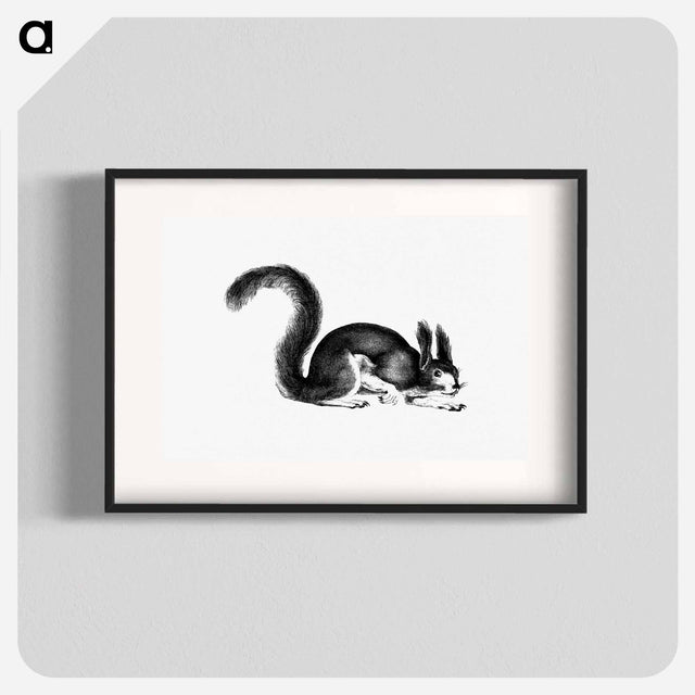 アートポスター-Abert's Squirrel
 - 大英図書館 Poster.