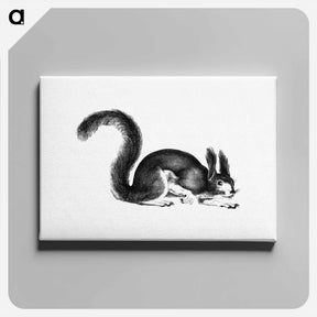 アートパネル-Abert's Squirrel
 - 大英図書館 Canvas.