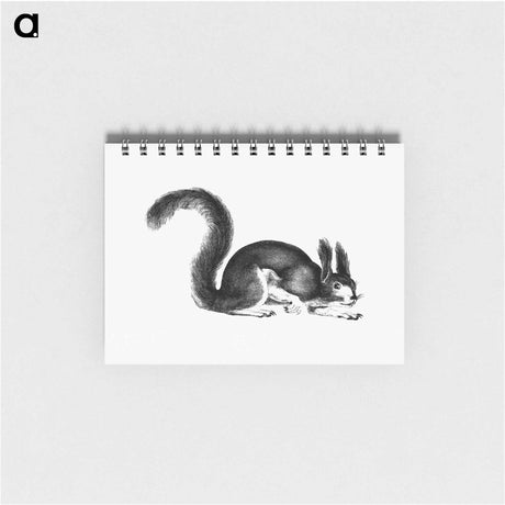 アートメモ帳-Abert's Squirrel
 - 大英図書館 Memo.